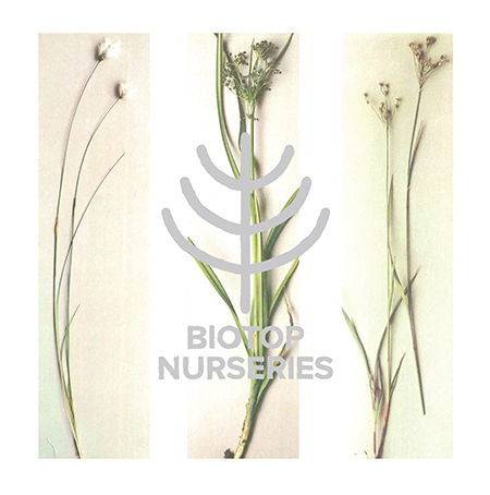 BIOTOP NURSERIES RENEWAL OPEN