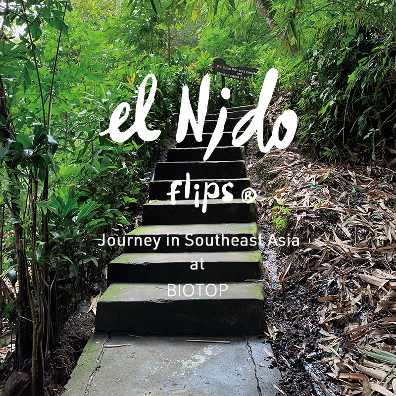 El Nido Flips Journey in Southeast Asia at BIOTOP