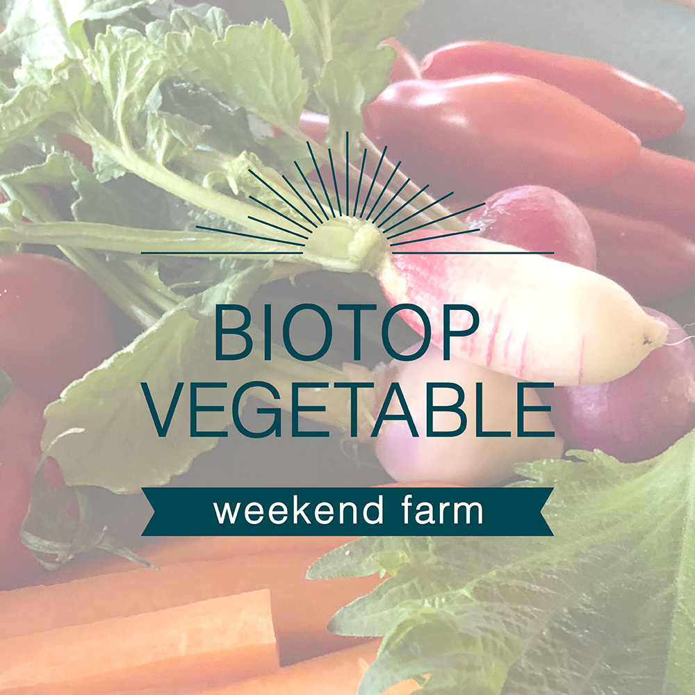 “BIOTOP VEGETABLE” スタート