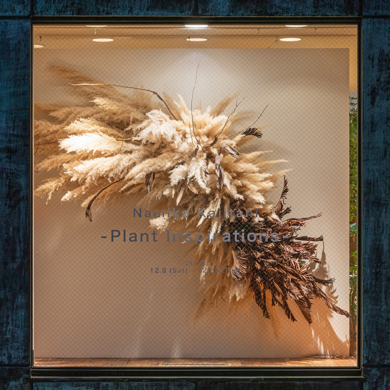 Namiko Kajitani Plant Inspirations