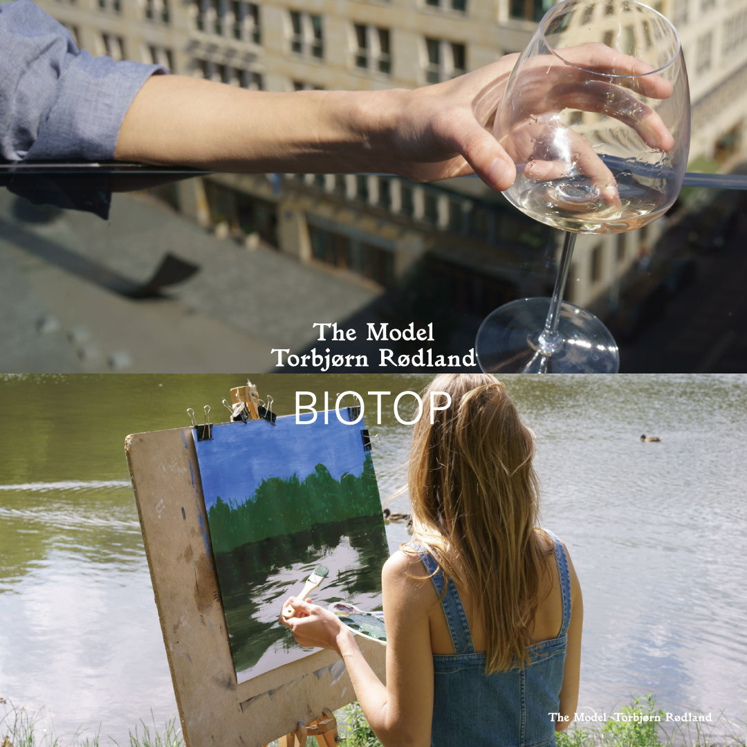 The Model for BIOTOP 26SS